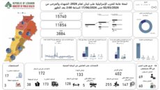 الصحة: الحصيلة الإجمالية للعدوان 3884 شهيدا و11856 جريحا