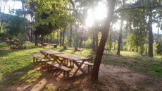 لبنان القاطع