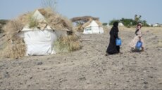 المنظمة الدولية للهجرة: 76 ألف شخص على الأقل نزحوا جراء القتال في اليمن منذ تموز