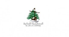 وزارة الاقتصاد: نحو 50% من مجموع محاضر الضبط استهدفت المولدات الكهربائية