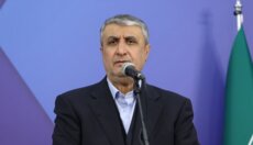 رئيس منظمة الطاقة الذرية الإيرانية: لا إمكانية لتفتيش المواقع التي تعرضت للهجوم والمعرضة للتهديدات