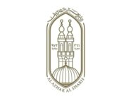 الأزهر دان الاعتداءات على مطارَين بالسعودية: عمل إجرامي ونحذّر من خطورة التصعيد