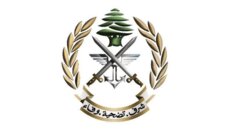 الجيش نشر فيديو في 