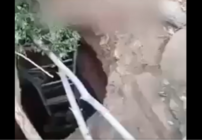 معلومات الـ