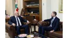 الرئيس عون بحث مع النائب الخير اتفاق الإطار وقانون العفو وقضية الشاب خالد ملص المخطوف في أستراليا