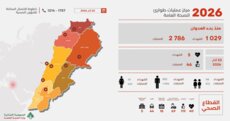 الصحة في التقرير اليومي للعدوان: 1029 شهيدا و2786 جريحا