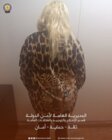 امن الدولة: توقيف مطلوبة للاشتباه بتورّطها في ترويج المخدرات ونقلها بين لبنان والعراق وسوريا والأردن