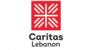 "كاريتاس": سننظم قافلة مساعدات إنسانية باتجاه قرى حدودية لتعزيز صمود الأهالي بأرضهم