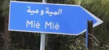 مدافن المية ومية تشعل الجدل... اعتراضات الأهالي توقف الأعمال موقتًا مدافن المية ومية تشعل الجدل... اعتراضات الأهالي توقف الأعمال موقتًا