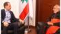 الجميل التقى ميناسيان: الشراكة الوطنية وتضامن جميع أبناء الوطن الركيزة الأساسية لمواجهة الأزمات