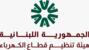 هيئة تنظيم قطاع الكهرباء: تمديد مهلة تقديم إعلان النوايا لمشاريع إنتاج الطاقة حتى 30 أيلول