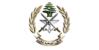 الجيش: تفكيك قنبلتَي طيران غير منفجرتَين من مخلفات العدوان الإسرائيلي في بلدتَي كفرا وتولين